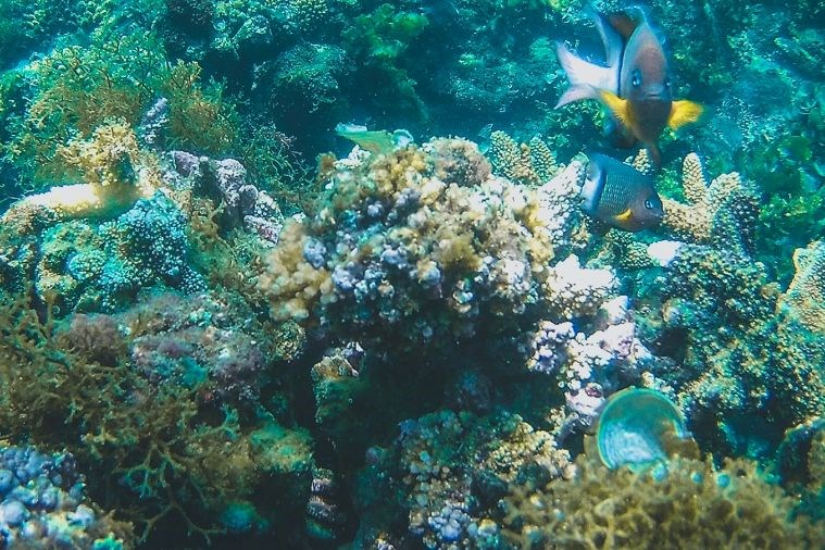 Tour Hòn Chùa 1 Ngày